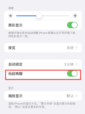 良庆苹果授权维修站分享iPhone轻点无法唤醒怎么办