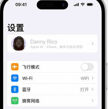 良庆appleID维修服务iPhone设置中Apple ID显示为灰色无法使用 