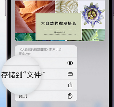 良庆apple维修中心分享iPhone文件应用中存储和找到下载文件