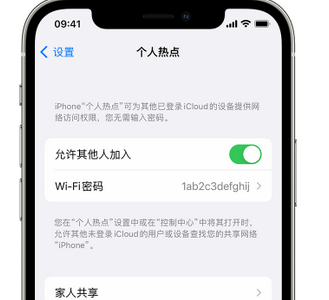 良庆apple服务站点分享iPhone上个人热点丢失了怎么办