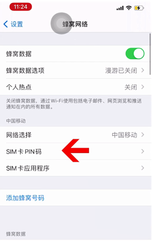 良庆苹果14维修网分享如何给iPhone14的SIM卡设置密码 