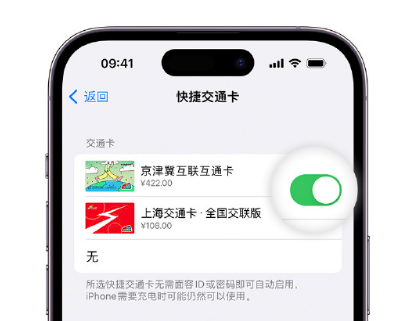 良庆apple维修点分享iPhone上更换Apple Pay快捷交通卡手绘卡面 