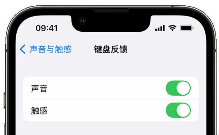 良庆苹果手机维修分享iPhone 14触感键盘使用方法 