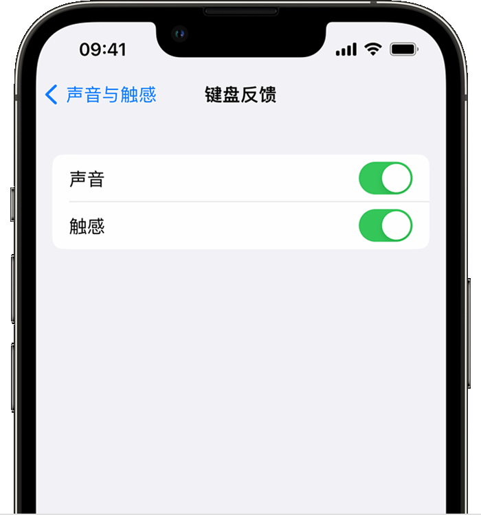 良庆苹果14维修店分享如何在 iPhone 14 机型中使用触感键盘 