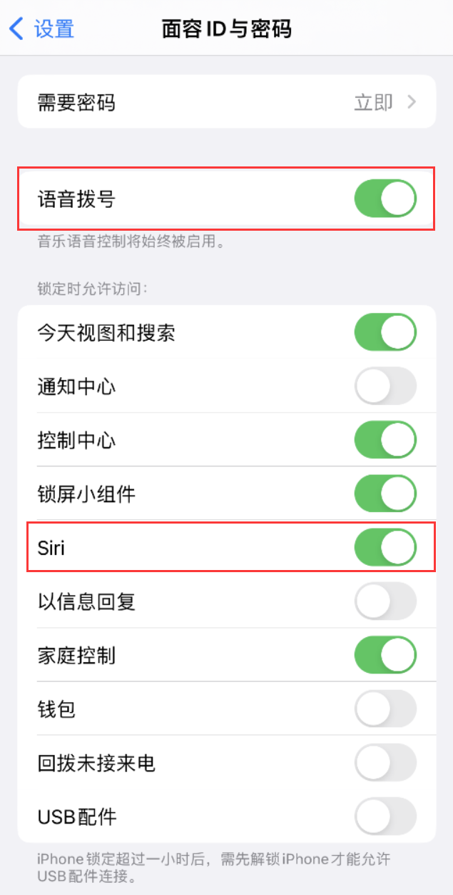 良庆苹果维修网点分享不解锁 iPhone 的情况下通过 Siri 拨打电话的方法 