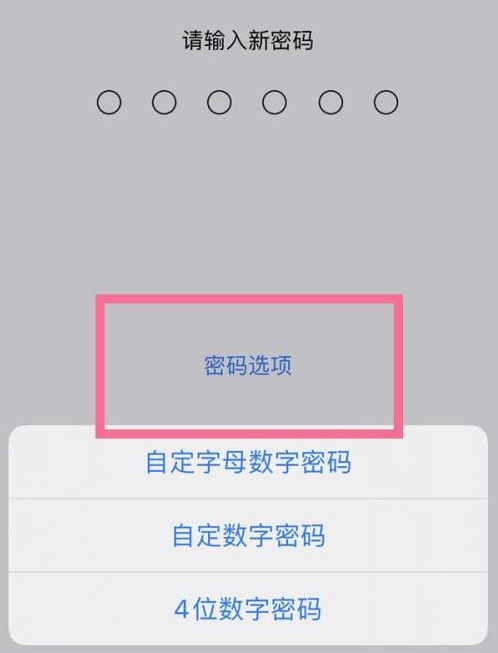 良庆苹果14维修分享iPhone 14plus设置密码的方法 