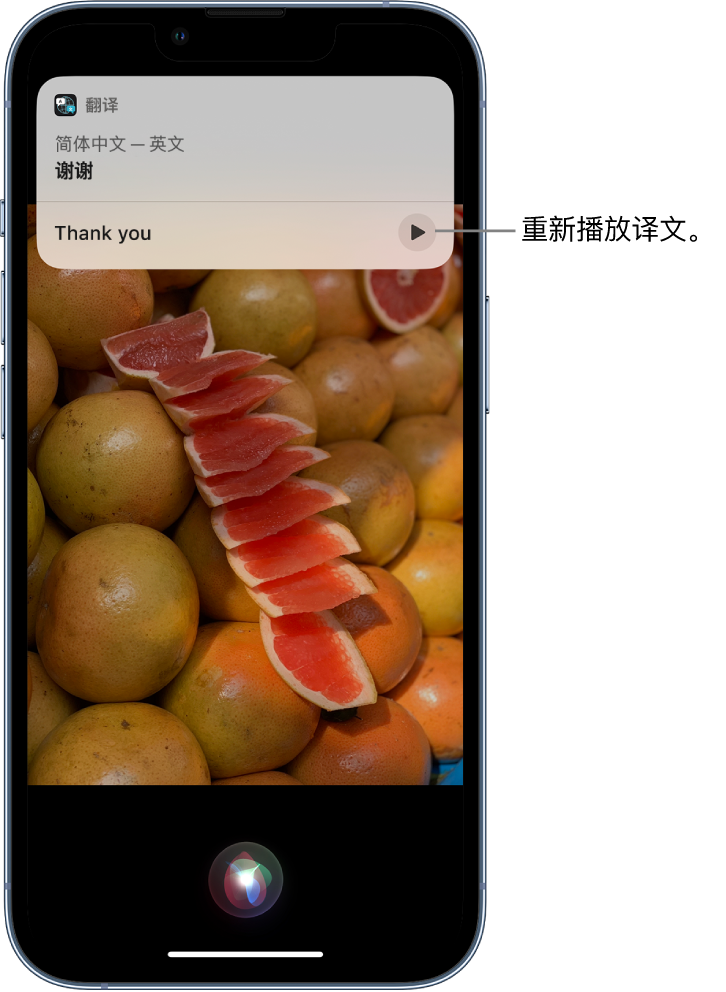 良庆苹果14维修分享 iPhone 14 机型中使用 Siri：了解 Siri 能帮你做什么 