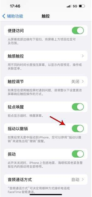 良庆苹果手机维修分享iPhone手机如何设置摇一摇删除文字 